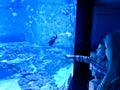 Kids admiring large aquarium with sharks and exotic fish