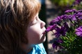 Kids allergy free. Little boy smelling flower outdoor. Kid sniffing flowers. Spring park. Royalty Free Stock Photo