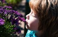 Kids allergy free. Little boy smelling flower outdoor. Kid sniffing flowers. Spring park. Royalty Free Stock Photo