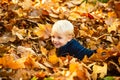 Kids in autumn park on yellow leaf background. Child lying on the golden leaf. Toddler boy in autumn park, autumnal mood