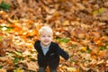 Kids in autumn park on yellow leaf background. Autumn portrait of cute little caucasian boy.