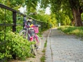 kids bicycle and adult bike outdoor on a city street tied to a metal fence in early summer season