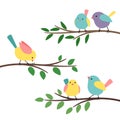 Kids birds branches. Bird family on trees branch for baby cartoon image, spring seasons children birdie vector Royalty Free Stock Photo