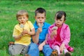 kids blowing dandelion seeds Royalty Free Stock Photo