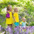 Kids in bluebell flower forest in summer