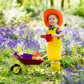 Kids in bluebell garden