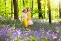 Kids in bluebell woods. Children play in park Royalty Free Stock Photo