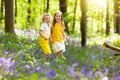 Kids in bluebell woods. Children play in park Royalty Free Stock Photo