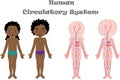 Kids body circulatory system Royalty Free Stock Photo