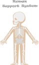 Kids body by X-ray