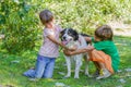 Kids - boy and girl - with dog outdoors Royalty Free Stock Photo