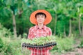 Kids boy holding seeding plants to planting tree on blurred green nature background