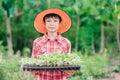 Kids boy holding seeding plants to planting tree on blurred green nature background