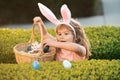 Kids in bunny ears on Easter egg hunt in garden. Child gathering eggs, easter egg hunt concept. Royalty Free Stock Photo