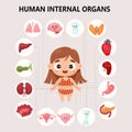 Kids cartoon anatomy human body. Cute girl and visual scheme internal female organs characters and locations. Vector