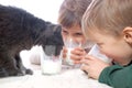 Kids and cat drinking milk together Royalty Free Stock Photo