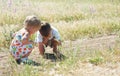 Kids catching grasshoppers in grass Royalty Free Stock Photo