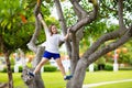 Kids climb tree in summer park. Child climbing Royalty Free Stock Photo