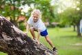 Kids climb tree in summer park. Child climbing Royalty Free Stock Photo