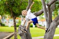 Kids climb tree in summer park. Child climbing