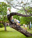 Kids climb tree in summer park. Child climbing Royalty Free Stock Photo