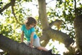 Kids climbing. Child boy climbs up the tree in park. Outdoor fun for kids in country side. Royalty Free Stock Photo