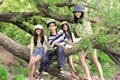 Kids climbing in tree Royalty Free Stock Photo