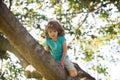 Kids climbing trees. Boy Child climb high up in a tree. Royalty Free Stock Photo