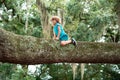 Kids climbing trees. Portrait of cute child boy sitting on the big old tree on sunny day. Royalty Free Stock Photo