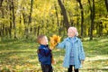 Kids collecting autumn leaves in woodland