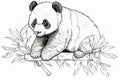 Kids coloring book image, panda cub, basic line drawing, simple image for young children to be able to color in