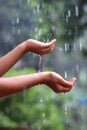 Kids Drizzling hands in rain water Royalty Free Stock Photo