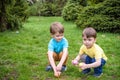 Kids on Easter egg hunt in blooming spring garden. Children searching for colorful eggs in flower meadow. Toddler boy and his brot