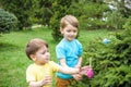 Kids on Easter egg hunt in blooming spring garden. Children searching for colorful eggs in flower meadow. Toddler boy and his brot