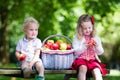 Kids eating apple in the garden Royalty Free Stock Photo