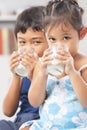 Kids enjoy drinking milk Royalty Free Stock Photo