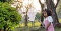 The kids enjoyed themselves as they enthusiastically pursued insects using nets in the garden. Royalty Free Stock Photo