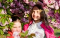 Kids enjoying cherry blossom. Pink is our favorite. Children enjoy spring garden. Sakura garden. Sisters walk park Royalty Free Stock Photo