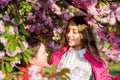 Kids enjoying cherry blossom. Pink is our favorite. Flowers soft tender bloom. Children enjoy spring garden. Sakura Royalty Free Stock Photo