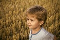 Kids enyoj happy day. Little boy with cute face, blond hair on cut grass