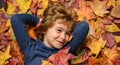 Kids face in autumn outdoor. Child portrait close up, kid lying in autumn leaves. Fall autumn foliage concept. Kid boy Royalty Free Stock Photo