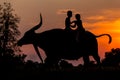 Kids farmer playing happily on the back of a buffalo