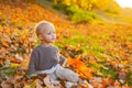 Kids fashion. Childhood memories. Child autumn leaves background. Warm moments of autumn. Toddler boy blue eyes enjoy Royalty Free Stock Photo