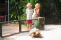 Kids feed animals at petting zoo Royalty Free Stock Photo