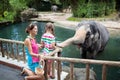 Kids feed elephant in zoo. Family at animal park. Royalty Free Stock Photo