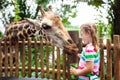 Kids feed giraffe at zoo. Children at safari park. Royalty Free Stock Photo