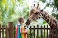 Kids feed giraffe at zoo. Children at safari park. Royalty Free Stock Photo