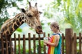 Kids feed giraffe at zoo. Children at safari park. Royalty Free Stock Photo