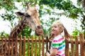 Kids feed giraffe at zoo. Children at safari park Royalty Free Stock Photo