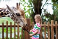 Kids feed giraffe at zoo. Children at safari park Royalty Free Stock Photo